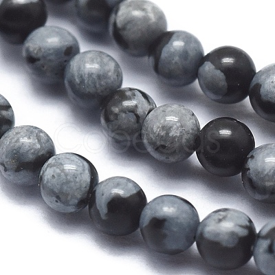 Natural Snowflake Obsidian Beads Strands G-A177-04-21-1