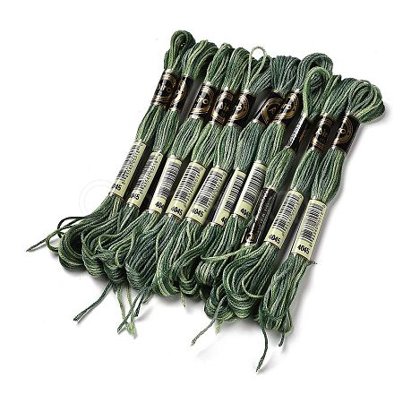 10 Skeins 6-Ply Polyester Embroidery Floss OCOR-K006-A63-1