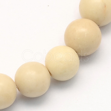 Natural Fossil Round Beads Strands X-G-S171-6mm-1