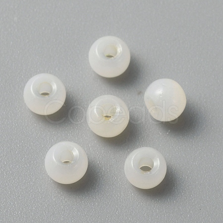 Handmade Lampwork Beads LAMP-TAC0001-05K-1