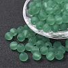 Transparent Acrylic Beads PL582-C14-1