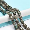 Tibetan Style dZi Beads Strands TDZI-E005-01F-2