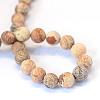 Frosted Natural Picture Jasper Round Bead Strands G-E334-10mm-26-3