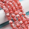 Dyed Natural Trochus Shell Beads Strands BSHE-G034-25A-2