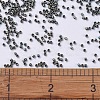 MIYUKI Delica Beads Small X-SEED-J020-DBS0324-4