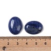 Natural Sodalite Cabochons G-B080-01A-19-3