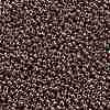 TOHO 11/0 Round Beads X-SEED-TR11-0460-2