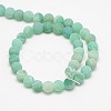 Natural Weathered Agate Beads Strands G-G589-6mm-08-4