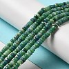 Natural Dolomite Beads Strands G-K350-B01-01C-2
