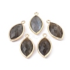 Natural Labradorite Pendants G-L514-023G-1
