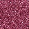 MIYUKI Delica Beads X-SEED-J020-DB1338-3