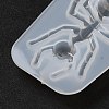 DIY Display Silicone Molds DIY-P074-07B-5