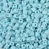 Opaque Acrylic Beads OACR-B025-06G-3