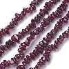Natural Garnet Chip Beads Strands G-L491-06-1