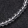 Glass Round Bead Strands GLAA-I028-10mm-01-1