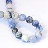 Natural Sodalite Round Bead Strands G-E334-10mm-08-3