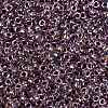 MIYUKI Round Rocailles Beads SEED-JP0010-RR3206-3