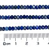 Natural Lapis Lazuli Beads Strands G-L587-B03-02-5