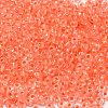 8/0 Transparent Glass Seed Beads SEED-F003-03B-11-3