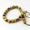 Natural Tiger Eye Beads Strands G-G099-12mm-9-2