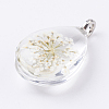 Glass Dried Flower Pendants GLAA-K018-E-2