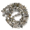 Natural Labradorite Chip Bead Strands G-M205-13-4