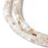 Natural Freshwater Shell Beads Strands X-SSHEL-C013-04A-3