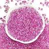 6/0 Spray Paint Fringe Glass Seed Beads SEED-H003-11J-3