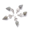 Natural Labradorite Pendants G-O194-02-1