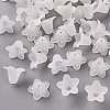 Transparent Acrylic Beads PLF018-01-1
