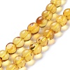 Natural Amber Beads Strands G-K308-C01-6mm-3