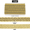 Polyester Braided Lace Ribbons OCOR-WH0092-17A-2