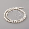 Natural Cultured Freshwater Pearl Graduated Beads Strands PEAR-G007-05A-2