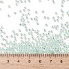 TOHO Round Seed Beads SEED-TR11-PF2118-3