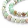Natural Chrysoprase Beads Strands G-S333-6mm-037-3