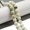 Natural Dendritic Jasper Beads Strands G-E571-A05-03-2
