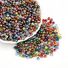 Transparent Colours Rainbow Glass Seed Beads SEED-N007-08-1