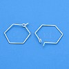 Brass Earring Hooks KK-WH20013-04S-A-2