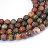 Natural Picasso Stone/Picasso Jasper Beads Strands X-G-E334-8mm-10-1