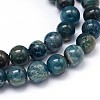 Round Natural Apatite Beads Strands G-F222-04-8mm-2