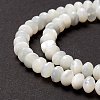 Natural Trochid Shell/Trochus Shell Beads Strands SSHEL-O001-24A-02-3
