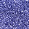 MIYUKI Delica Beads SEED-J020-DB0243-2