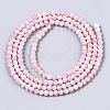 Natural Freshwater Shell Beads Strands X-BSHE-T009-01D-2