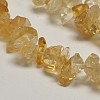 Chip Natural Citrine Beads Strands X-G-N0134-21-2