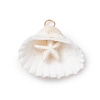 Summer Beach Natural Shell Pendants PALLOY-JF02648-01-1