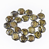 Drawbench Freshwater Shell Beads Strands X-SHEL-T014-013C-2