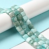 Natural Amazonite Beads Strands G-C109-A12-02-2