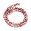 Natural Maifanite/Maifan Stone Beads Strands G-P451-01B-A-3