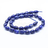Natural Lapis Lazuli Beads Strands G-P342-08-8x12mm-A-2