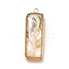 Brass Enamel Pendants KK-K252-10G-05-2